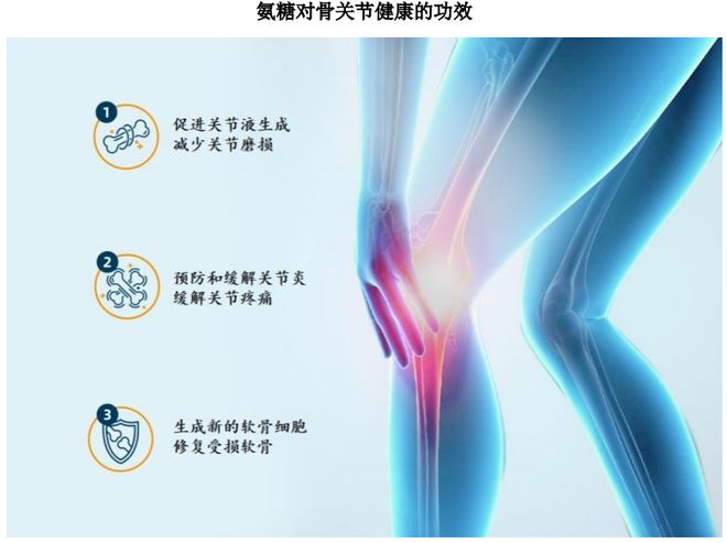 团：扎根运动健康赛道凭多元布局赢长远未来CQ9电子登录注册HMB全球龙头技源集(图4)