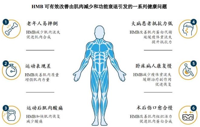 团：扎根运动健康赛道凭多元布局赢长远未来CQ9电子登录注册HMB全球龙头技源集(图6)