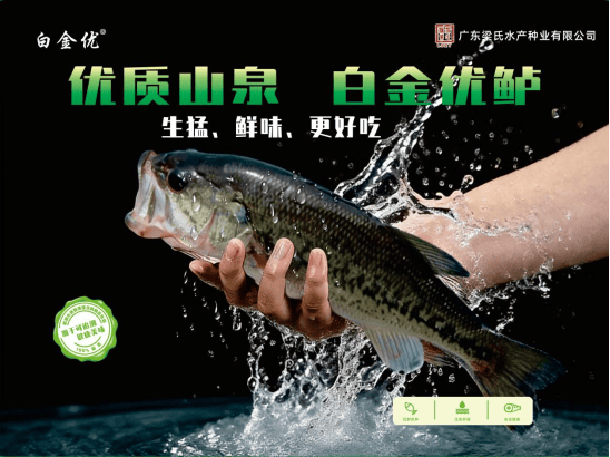 民展销邀您共迎新春三水迎春集市2月4日开市CQ9电子游戏平台非遗体验、春联送福、惠(图3)
